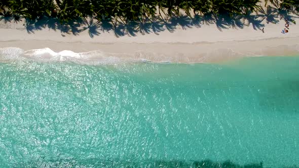 aerial reveal of beach club resort lined with palm trees on White beach, Panglao island, Bohol, Visa