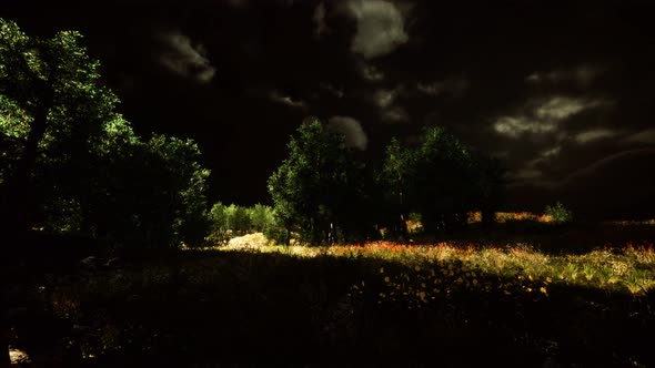 Thunderstorm Clouds with Lightning in Green Meadow