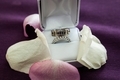 Wedding Rings In The Box Before A Ceremony On Wedding Day On Purple Background - PhotoDune Item for Sale