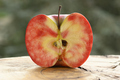 Close up of apple type with red, white, yellow and pink pulp - PhotoDune Item for Sale