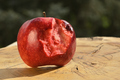 Close up of apple type with red, white, yellow and pink pulp - PhotoDune Item for Sale