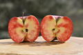 Close up of apple type with red, white, yellow and pink pulp - PhotoDune Item for Sale