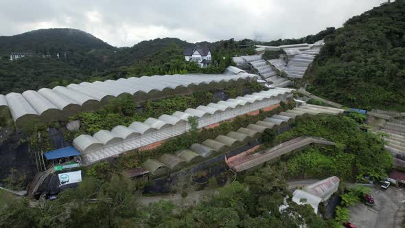 Cameron Highlands, Pahang Malaysia