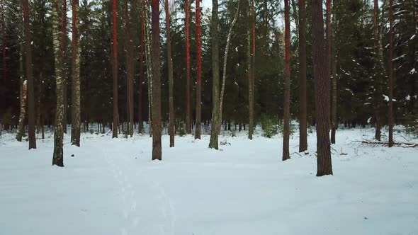 Winter Lake Streshno 