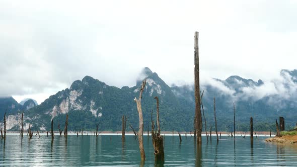 Amazing Beautiful Morning Turquoise Lake with Dead Woods and Green Mountains