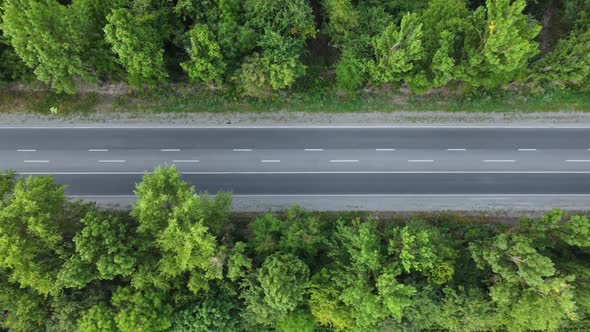 Slow Flight High Above the Road That is Between the Trees