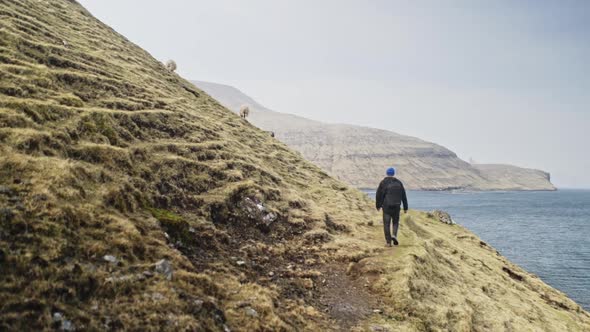 Steady Shot of Man Walking By the Foot of a Large Cliff in Faroe Islands