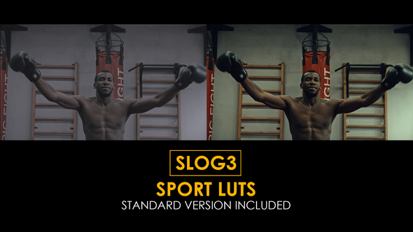 Slog3 Sport and Standard LUTs