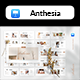 Anthesia - Fashion Keynote Template - GraphicRiver Item for Sale