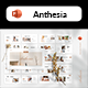 Anthesia - Fashion Powerpoint Template - GraphicRiver Item for Sale