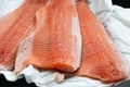 Salmon fillet on the white paper. Uncooked fresh salmon pieces. - PhotoDune Item for Sale