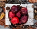 Rustic style of red apples on autumn background setup in a selective focus, season holiday concept - - PhotoDune Item for Sale