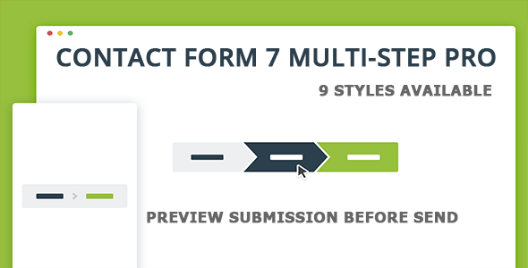 Contact Form 7 Multi-Step Pro - Preview Submission