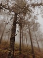 nature - PhotoDune Item for Sale