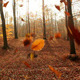 Autumn - VideoHive Item for Sale
