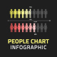 People Chart Infographic - VideoHive Item for Sale