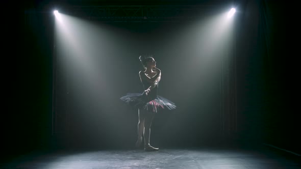 Silhouette of a Graceful Ballerina in a Chic Image of a Black Swan. Classical Ballet Choreography
