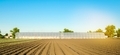 Greenhouses for growing vegetables and fruits in the field - PhotoDune Item for Sale