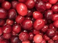 Beautiful frozen cranberries and ready to make cranberry sauce.  - PhotoDune Item for Sale