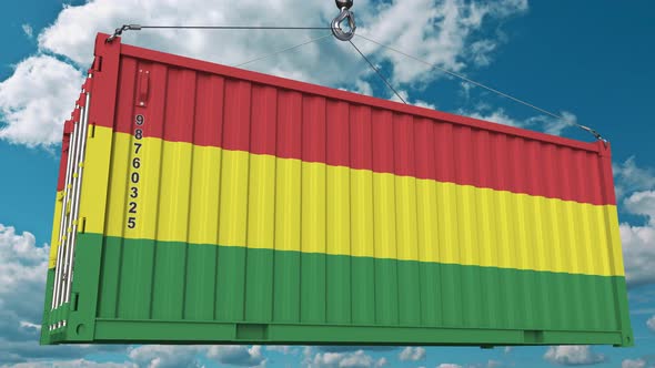 Container with Flag of Bolivia