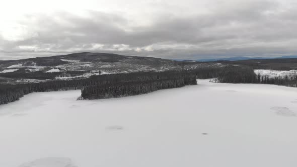 Aerial Shoot of a frozen lake surrounded by pine trees in 4K