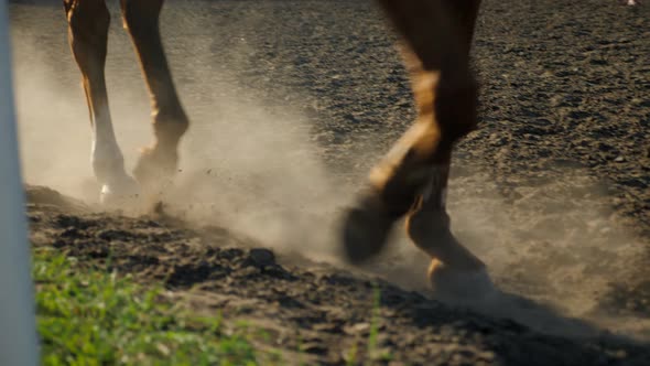 Closeup of a Rider Riding a Horse on the Field During Training