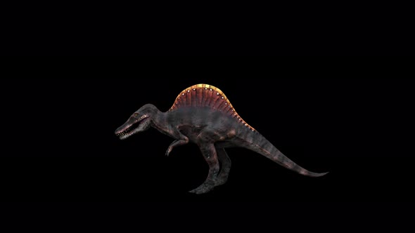 4K Dinosaur Spinosaurus Idle