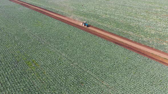 Aerial View, the Tractor Rides Across the Field