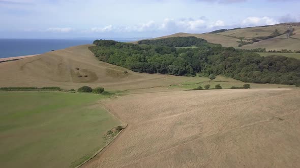 Wide aerial tracking over the Dorset fields surrounding the sub tropical gardens at Abbotsbury near