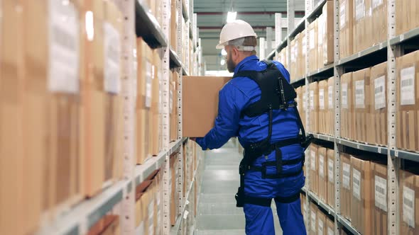 Stockhouse Worker in Ergoskeleton is Taking a Box From the Shelf