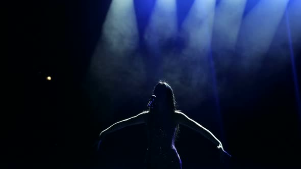 The Beautiful Singer Sings on Stage in the Dark