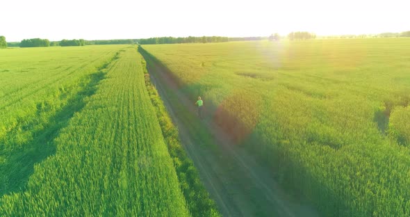 Aerial View on Young Boy, That Rides a Bicycle Thru a Wheat Grass Field on the Old Rural Road