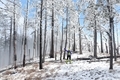 Snow hiking - PhotoDune Item for Sale