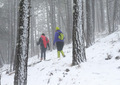 Snowing and hiking  - PhotoDune Item for Sale