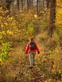 Autumn stroll - PhotoDune Item for Sale