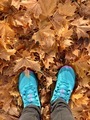 Running shoes & Autumn leaves  - PhotoDune Item for Sale