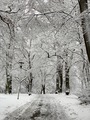 Beautiful winter day - PhotoDune Item for Sale