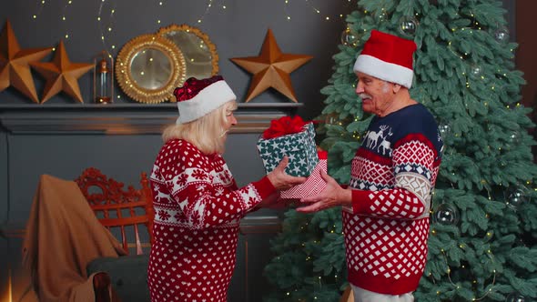 Romantic Senior Couple Presenting Gift Boxes to Each Other at Home Near Decorating Christmas Tree