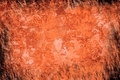 Bright orange texture similar to burnt paper or rusty surface - PhotoDune Item for Sale