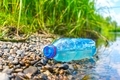The problem of environmental pollution with plastic. A plastic bottle discarded on the riverbank - PhotoDune Item for Sale