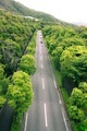Long green road  - PhotoDune Item for Sale