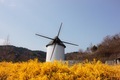 Windmill  - PhotoDune Item for Sale