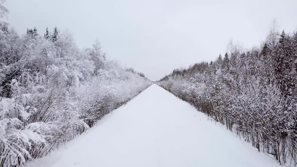 Aerial View of Road Between the Snow Trees