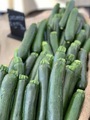 Zucchini  - PhotoDune Item for Sale