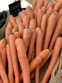 Carrot  - PhotoDune Item for Sale