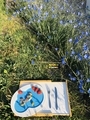 Start of Easter picnic - PhotoDune Item for Sale