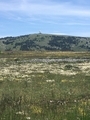 South France countryside  - PhotoDune Item for Sale