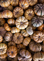 Striped Pumpkins From Above - PhotoDune Item for Sale