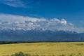 Yellow field under the blue sky and mountains remembering Ukraine and Ukrainian flag  - PhotoDune Item for Sale
