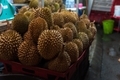 Tropical fruit of durian at the night market - PhotoDune Item for Sale